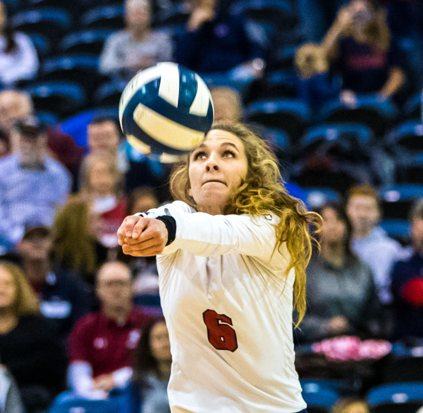 no.volleyballdivisionIV.111118.03.JPG